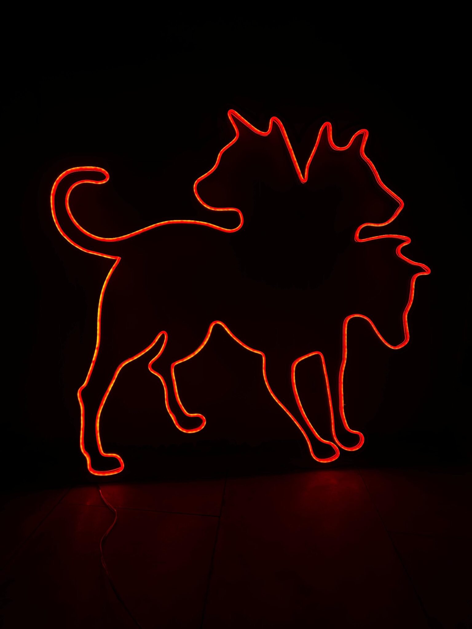 WhatsApp Image 2025-10-10 at 22.43.49(1)